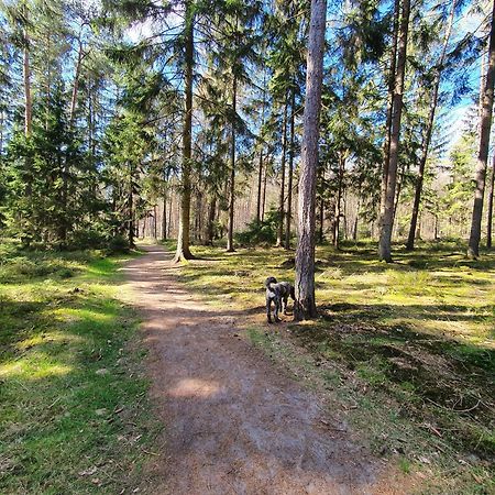Ferienwohnung Schuberski Lipperreihe Екстер'єр фото